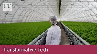 Can A Superplant Save The Planet Transformative Tech