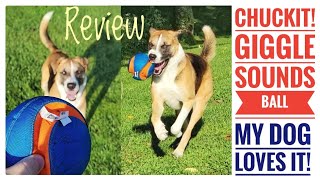 NEW Chuckit! Kick Fetch Dog Toy Ball with Giggle Sounds!!   MY DOG LOVES IT!!!