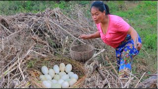 Dalin cooking egg recipe- Boil egg duck to Eating so good HD