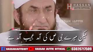 17 Rabi Ul Awal Whatsapp status | Molana Tariq jameel WhatsApp status | Wiladat | 12 Rabi Ul Awwal