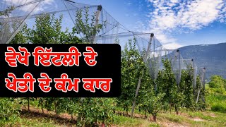 ਵੇਖੋ ਇੱਟਲੀ ਖੇਤੀ ਦੇ ਕੰਮ ਕਾਰ || Italy Agriculture Work || Europe Agriculture Work 🇮🇹🇪🇺