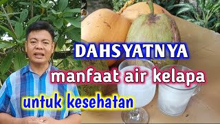 9 Manfaat Air Kelapa Untuk Kesehatan Tubuh Manusia