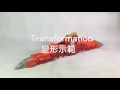 kl變形金剛玩具分享37 泰坦之戰 v級 御天至尊 transformers titans return sentinel prime