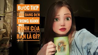 BƯỚC TIẾP THEO TRÊN HÀNH TRÌNH CỦA BẠN LÀ GÌ?| TAROT VÀ CHỮA LÀNH