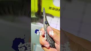 鳄雀鳝VS斑马鳗，斑马鳗秒怂，一物降一物