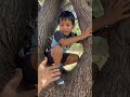 शिवम ला बघा कोणत्या झाडावर चढवला खूप घाबरतो शिवम funny cutebaby ytshortsviral