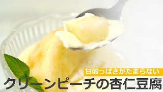 今が旬！大人気のクリーンピーチでつくる杏仁豆腐