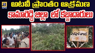 అటవీ ప్రాంతం ఆక్రమణ కామారెడ్డి జిల్లా  లో కబ్జాదారులు | Kamareddy Forest |Swatantra Tv