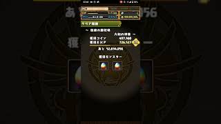 たまにやる やらかし 【#パズドラ】獄練の闘技場