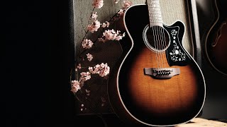 Takamine EF450C-TT l Une Lutherie SPLENDIDE !!