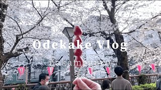 🌸🌸目黒川でお花見デート🌸🌸【Odekake Vlog】