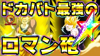 【ドッカンバトル】火力が別次元！虹ったギリギリ悟飯と親カメ悟飯のロマン砲！【Dragon Ball Z Dokkan Battle】