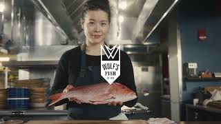 Chef Tracy Chang, Pagu