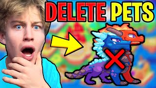 This Prodigy Hacker can DELETE PETS...