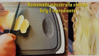 Easy 2-Ingredient Homemade Mozzarella Cheese Recipe