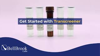 Getting Started with Transcreener Assays - A Quick Start Guide