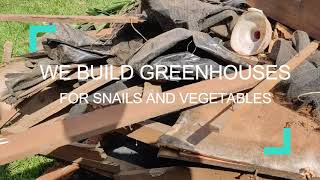 Renovation of a Snail Greenhouse Urban farming Ghana Investment