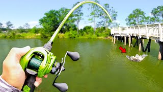Fishing for GIANT Bass w/ Swimbaits in SMALL Ponds (Bed Fishing)