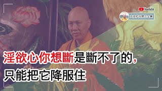 淫欲心你想断是断不了的，只能把它降服住【大安法师开示】