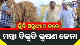 BJP Minister Bibhuti Bhusan Jena On Inspection After Unseasonal Rain Damage Paddy Crops in Ganjam