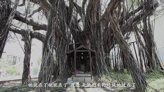 樹的回憶—檨仔林字幕 Memories of the tree—Mango grove｜2021｜走路草農/藝團