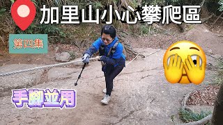 [登山]苗栗加里山登山全紀錄台灣版富士山避難山屋至2.8k小心攀爬區(第四集){鹿場露營區登山口}[山上要注意手機訊號不好][總里程來回超過10k]#苗栗#南庄#加里山#鹿場露營區