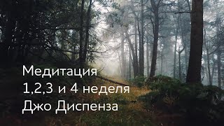 1,2,3 и 4 неделя. Медитация Джо Диспенза. Полный текст медитативной практики. #аюмедитэйшн