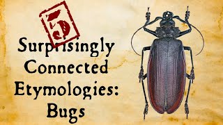 Bugs: Surprisingly Connected Etymologies