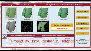 Grape Leaf Disease Detection Using Image Processing | Matlab Project With Source Code
