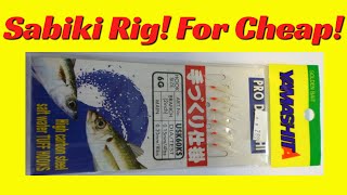 How to make a Sabiki Rig | Fishing in Hawaii | Catch Live Bait | Catch Bait in Florida | Googly Eye