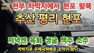 울릉도 천부 차박지서 현포 왕복 #ok차박전국투어 자연터널 코스모스 성불사 깃대봉 나리분지 가는 추산 코끼리쉼터 울릉천국가는 평리 무릉도원 예림원 매브리코 얼굴바위 해골바위 현포정