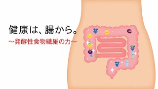 動画で⾒る「発酵性⾷物繊維の⼒」