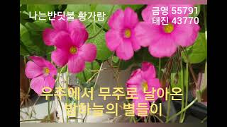 ♡나는 반딧불/황가람  작사,작곡 정중식 금영 55791 태진 43770