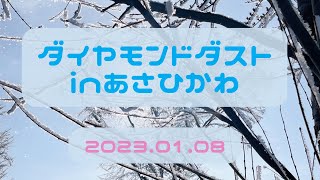 ダイヤモンドダストin旭川 【−18℃】2023.01.08