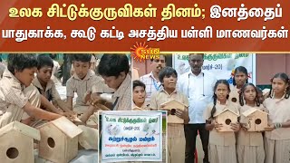 உலக சிட்டுக்குருவிகள் தினம்; இனத்தைப் பாதுகாக்க, கூடு கட்டி அசத்திய பள்ளி மாணவர்கள் |  Sparrow Day