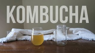 Budget101™ How to Make your own Healthy, Cheap Kombucha at home