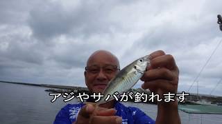 釣れても釣れなくても（岩船埠頭で野営＆釣り）新潟県