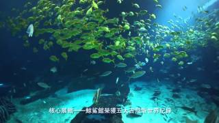 【珠海長隆海洋王國】詳細旁白介紹篇