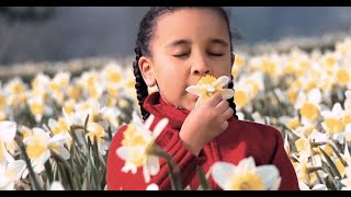Too much anxiety in your life? Aromatherapy can help.