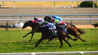 ワントゥワンが宇治川特別を勝利。現地映像、京都競馬場