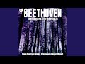 Violin Sonata No. 5 in F major, Op. 24: I. Allegro