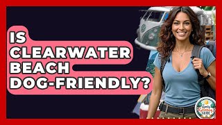 Is Clearwater Beach Dog-friendly? - The Family Getaway Guide