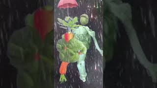 ବର୍ଷା ଲୋ ଟିକେ ହାଉଲେ ହାଉଲେ🌧️☔#viral #video #pritylifestyle #youtubeshorts ❤️❤️😍