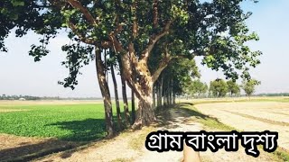 মায়াময় পরিবেশে গ্রামীণ মেঠোপথ।