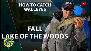 LOW Fall Walleyes | Destination Fish TV with Jon Thelen