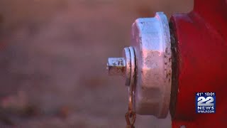 Importance of fire hydrants