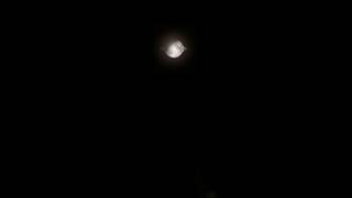 Moon hit by asteroid CAUGHT ON CAMERA