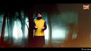 Hafiz Ahmed Raza Qadri - Maula Hussain Official Video