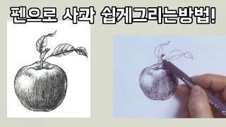 [펜드로잉]기초/사과를 쉽게 그리는 방법/펜을연필처럼 명암넣는 방법/사과그림