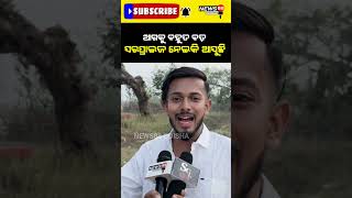 ଆଗକୁ ଆହୁରି ବଡ ବଡ surprise ଅଛି #shorts #reels #viralvideo #viralnews